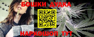 прущие грибы Моздок