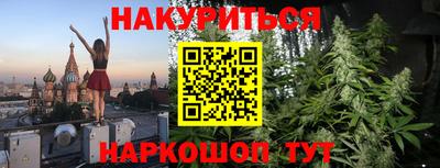прущие грибы Моздок