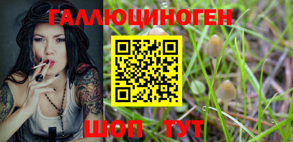 Галлюциногенные грибы Magic Shrooms Урюпинск