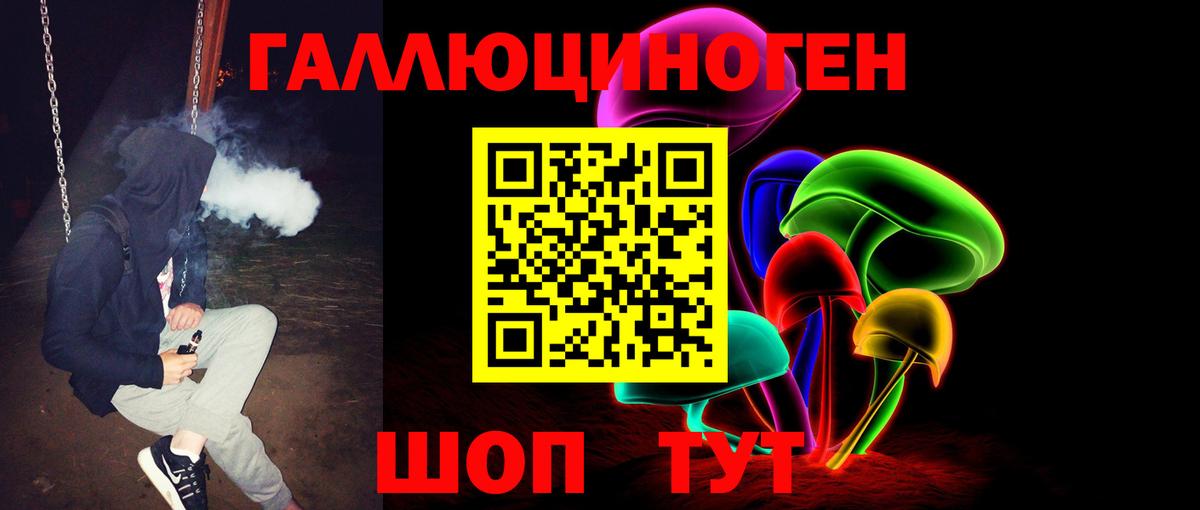 Галлюциногенные грибы GOLDEN TEACHER  Вход с VPN  Псилоцибиновые грибы мицелий  Урюпинск 